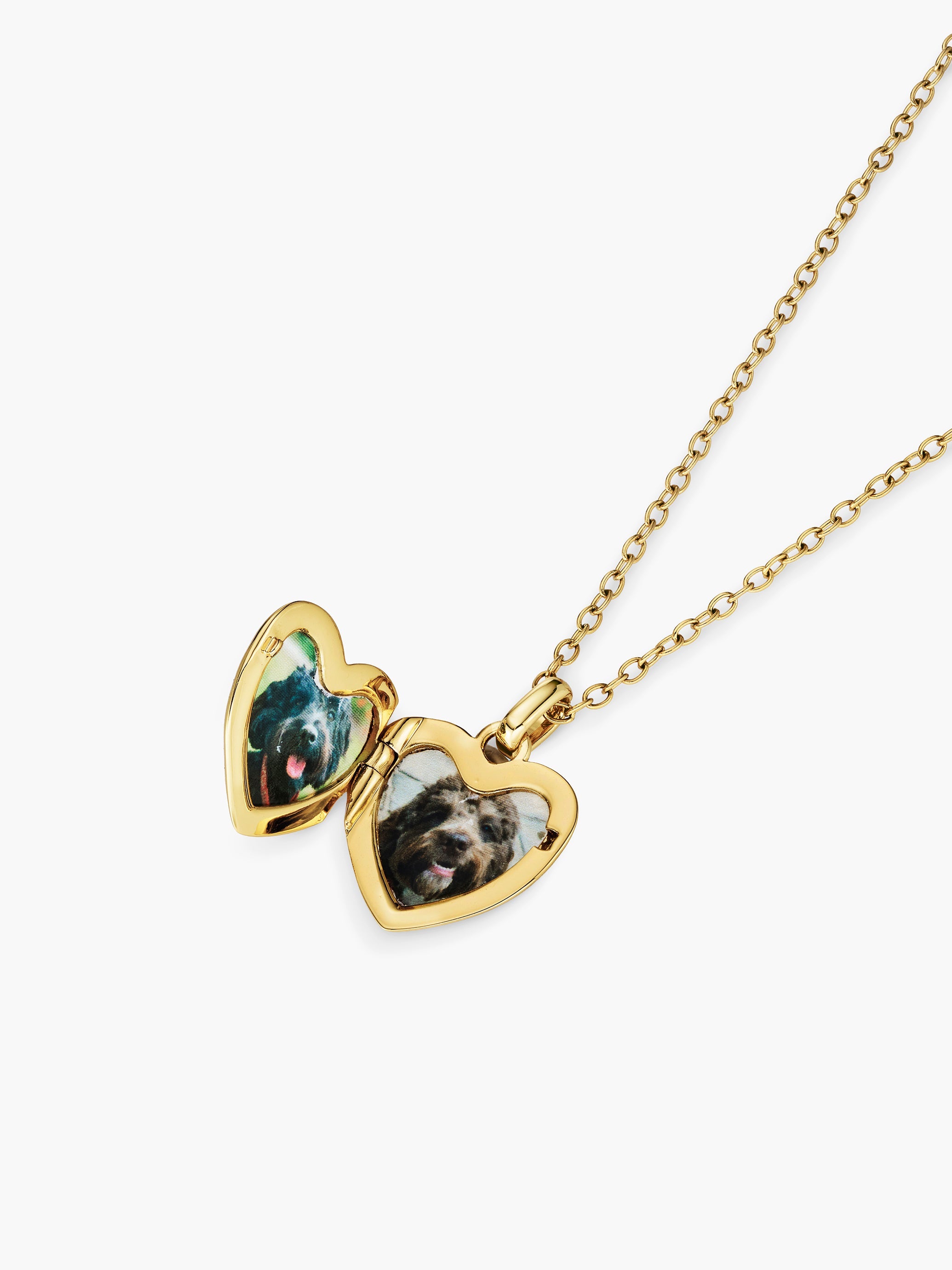 Heart Double Photo Locket Necklace