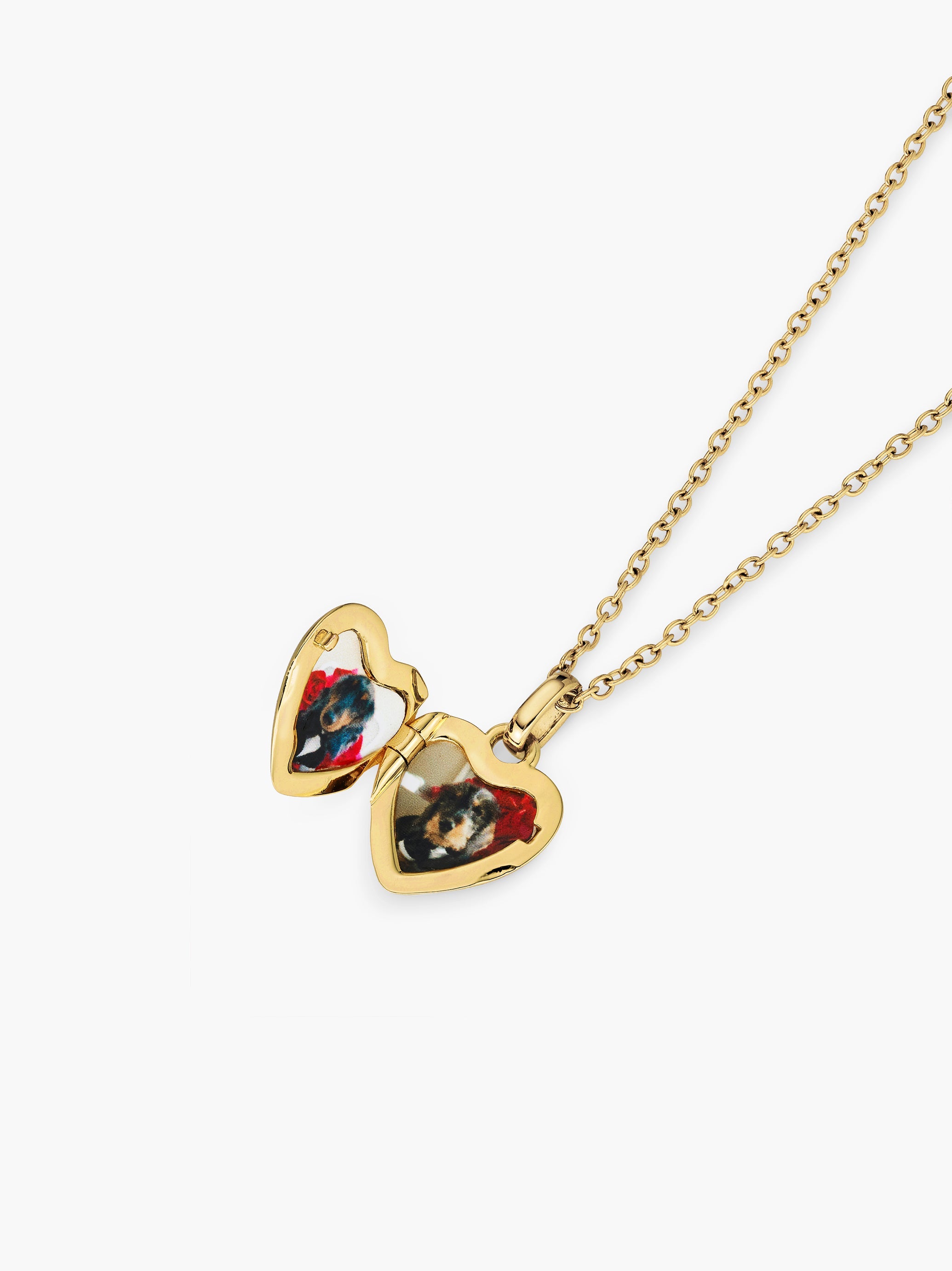 Star Double Photo Locket Necklace